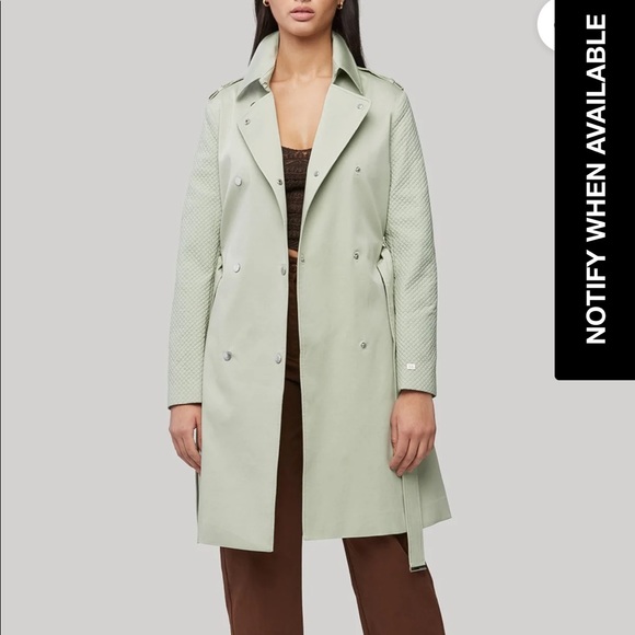 NWT Anthropologie Soia + Kyo “Kya” Trench Coat in Sage Size XXL - Picture 4 of 15